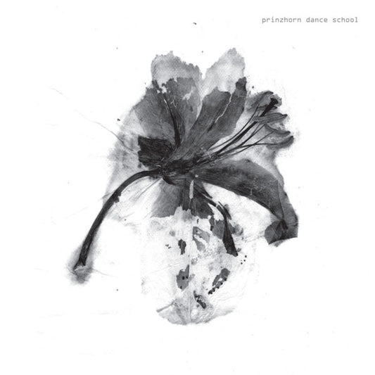 Prinzhorn Dance School - Seed Crop Harvest 7"