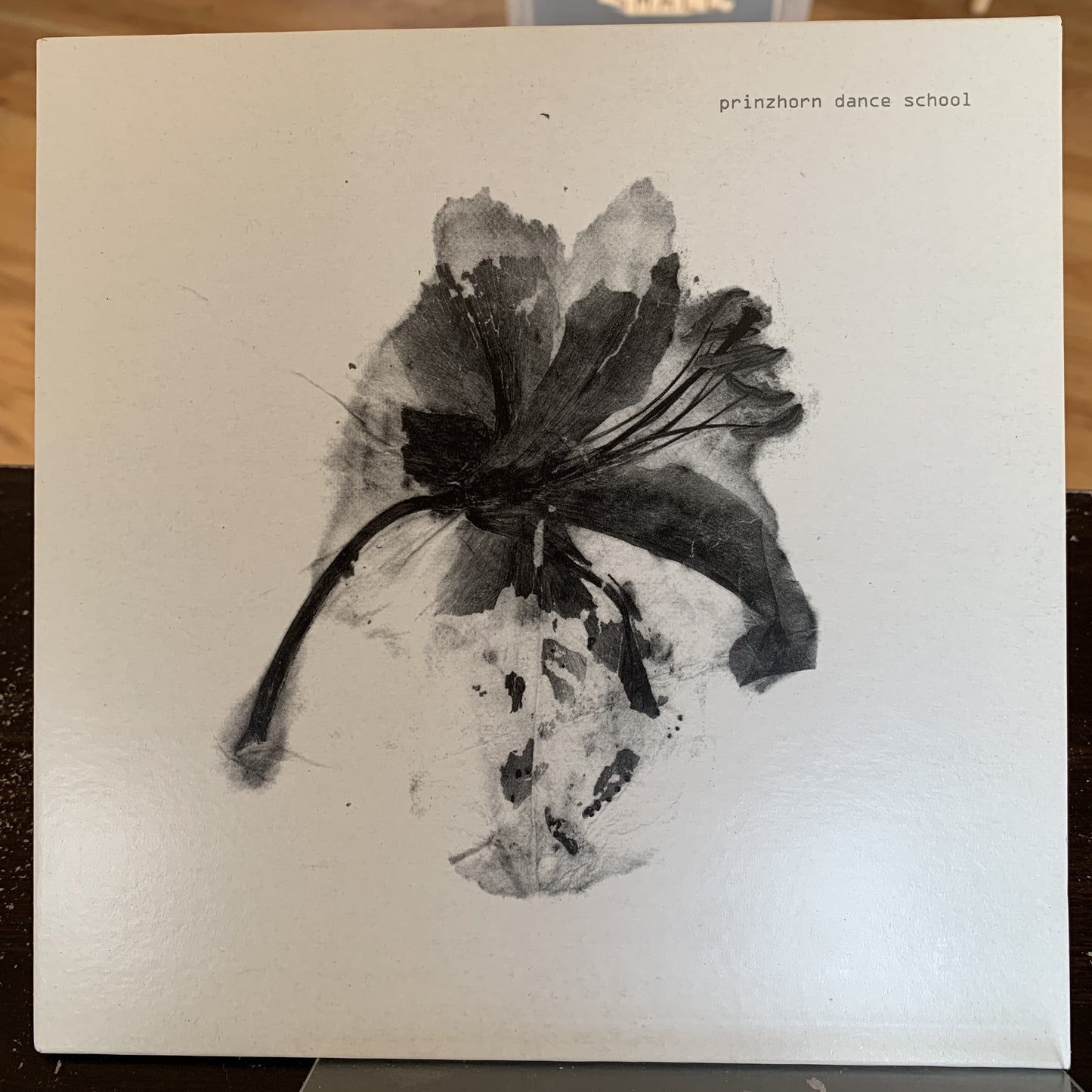 Prinzhorn Dance School - Seed Crop Harvest 7"