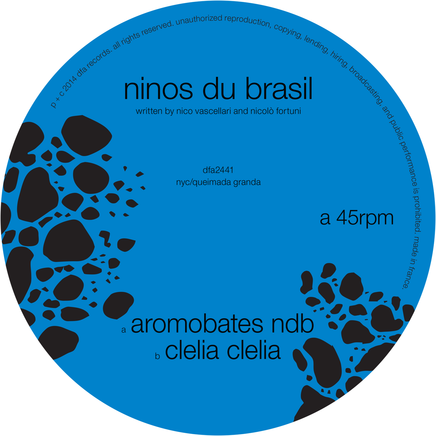 Ninos Du Brasil - Aromobates NDB 12"